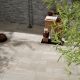 Pedro Sand Extruded Grès Porcelain Floor Tile 1st 420x635mm 2.13m2