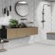 Delta Dawn Matt Ceramic Wall 1st 300x600mm 0.9m2